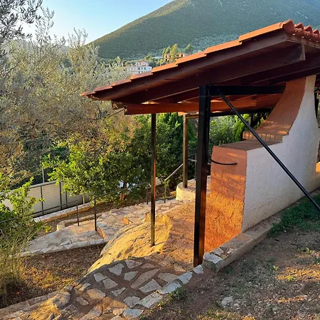 Olive Hill Villa *