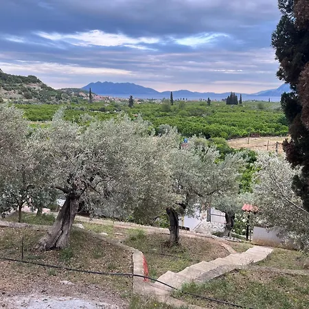 Olive Hill Вилла *