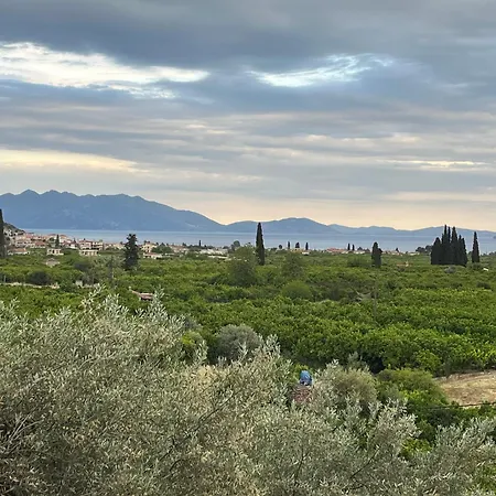 Olive Hill Epidaurus