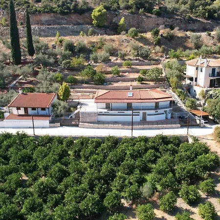 Olive Hill * Epidaurus