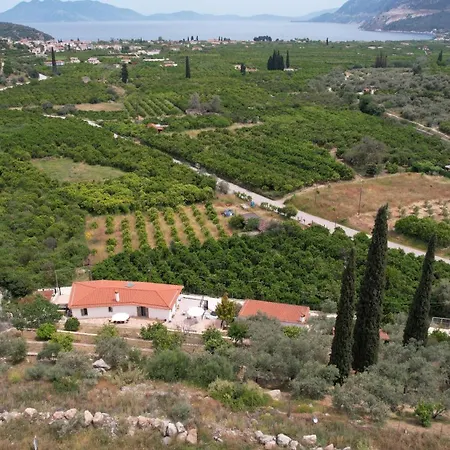 Olive Hill *