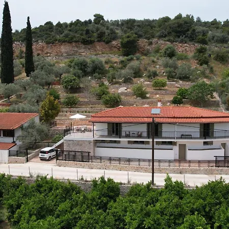 Olive Hill *
