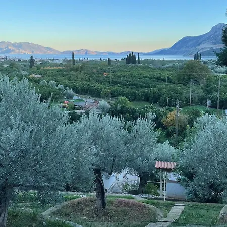 Olive Hill *