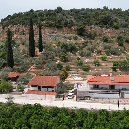 Olive Hill