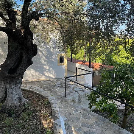 Olive Hill *