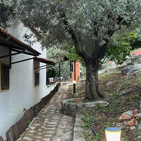 וילה Olive Hill Epidaurus