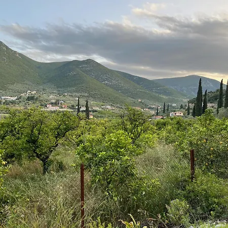 Olive Hill Epidaurus