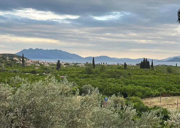 Olive Hill Epidaurus