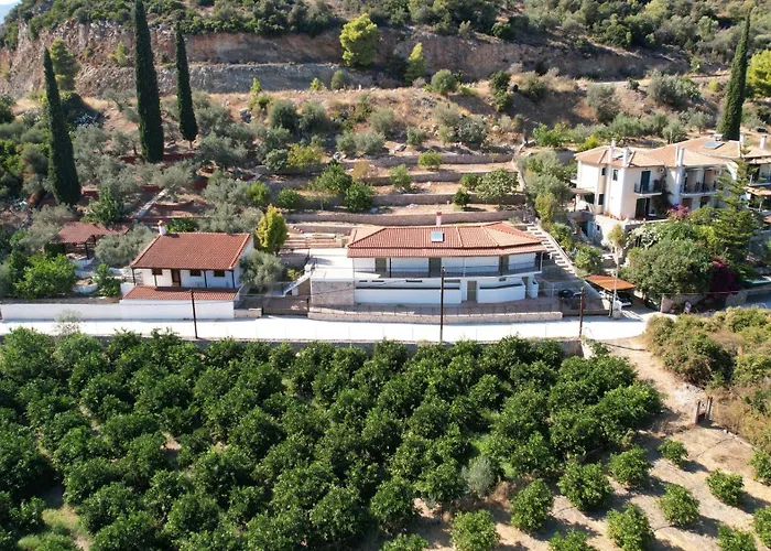 Olive Hill * Epidaurus